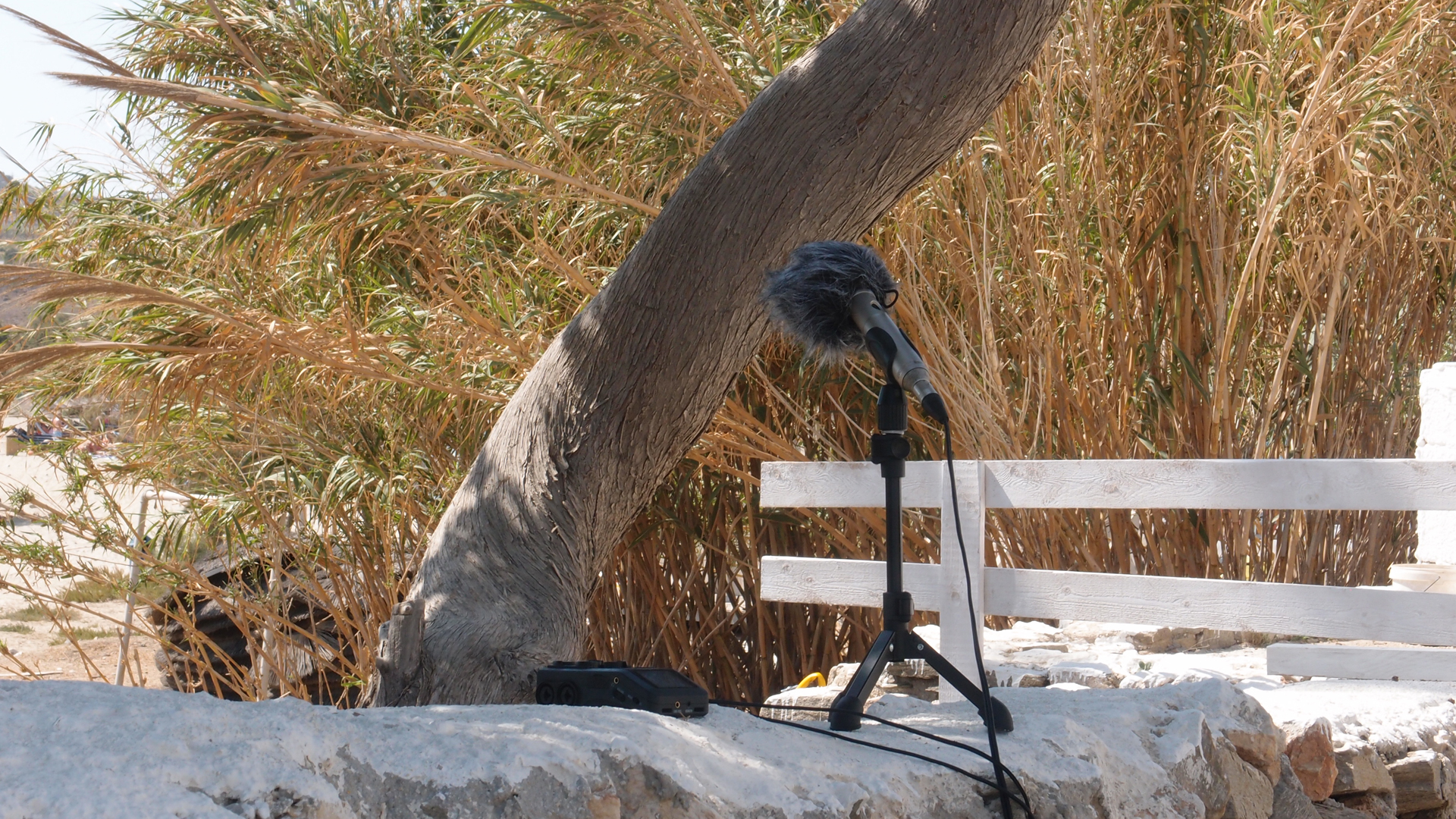 2021-09-17 03 Parasporos Beach Club (Zikaden) (Fieldrecording, Foto, Video)